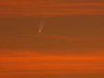 12/1/2007 C/2006 P1 (McNaught)