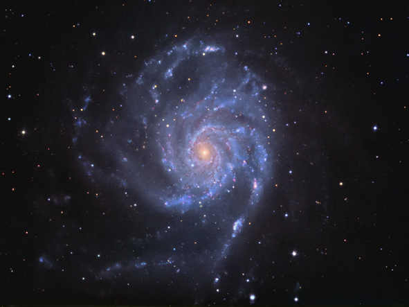 Informazioni su M101